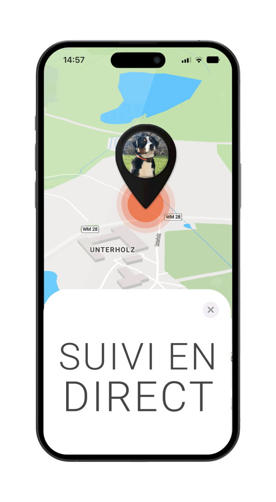 GPS-Traceur-App-para-perros---Alerte-de-geofence