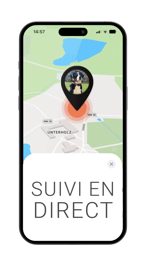 Évaluation du traceur GPS pour chien avec dispositif de suivi en