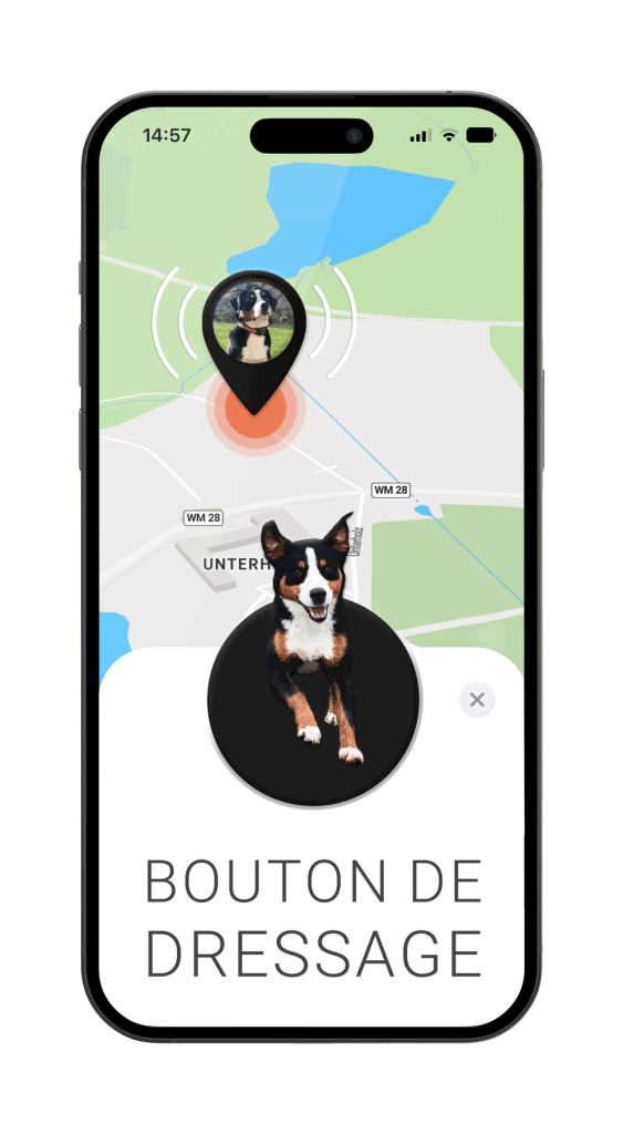 GPS-Tracker-App-para-perros---Botón-de-doma