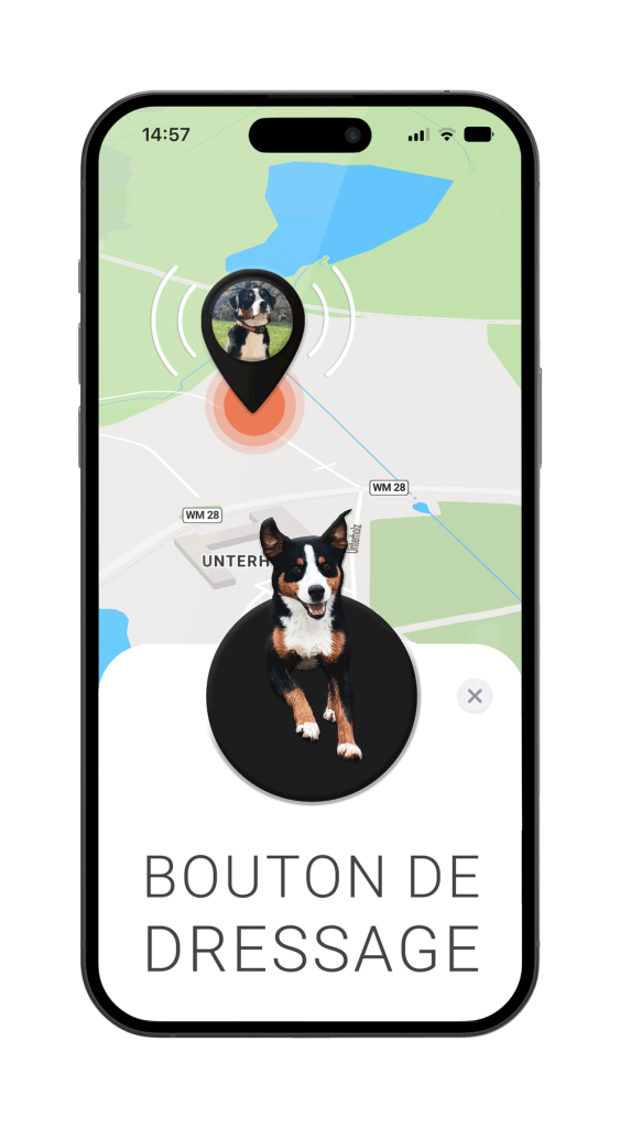 Évaluation du traceur GPS pour chien avec dispositif de suivi en