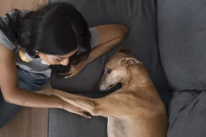 Chien avec son maitre sur canape