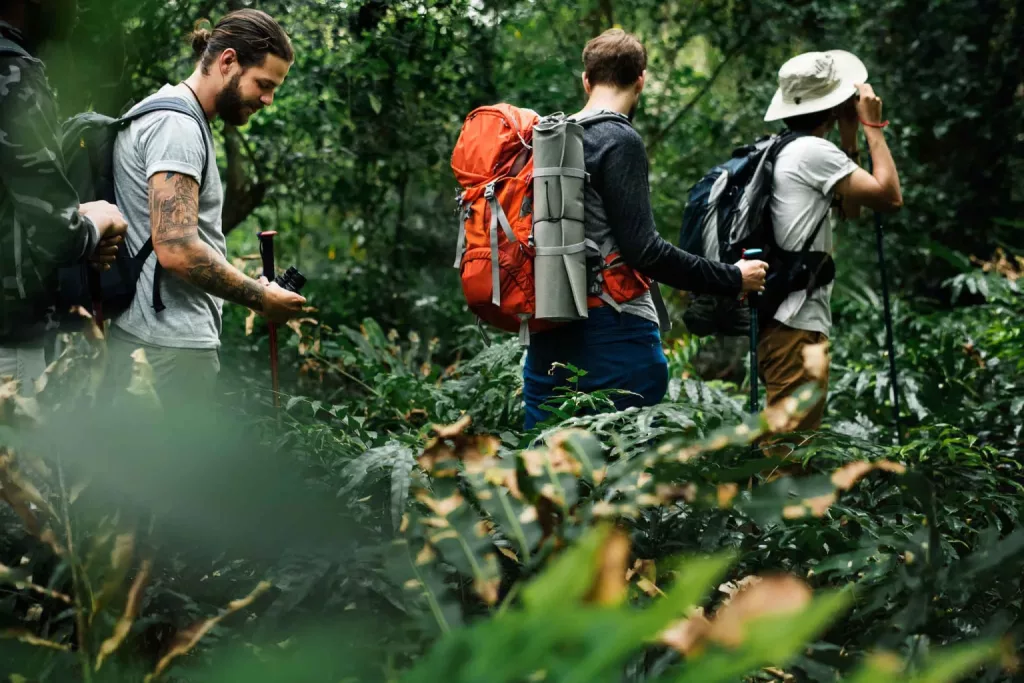 trois personne dans la foret en train de vivre une aventure touristique