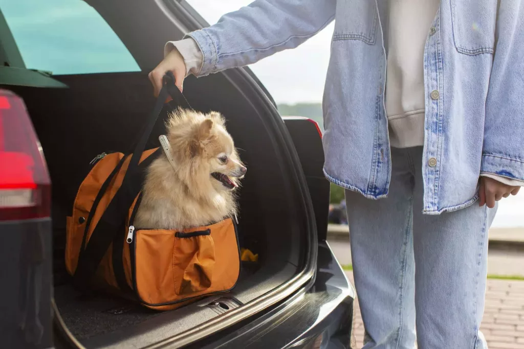 Un chien dans un sac de transport pour chien