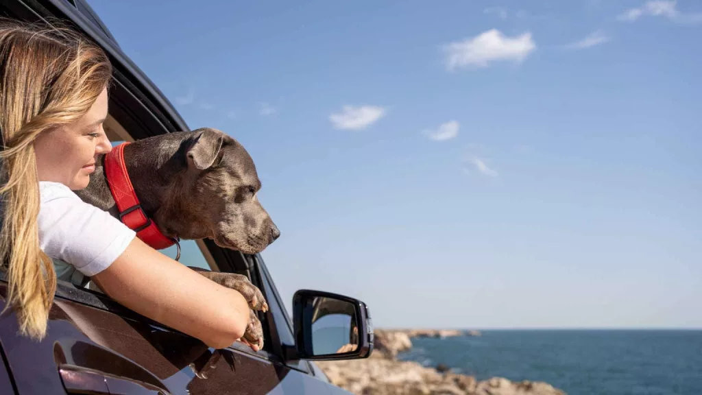 Un chien avec une femme dans la voiture regardant la mer