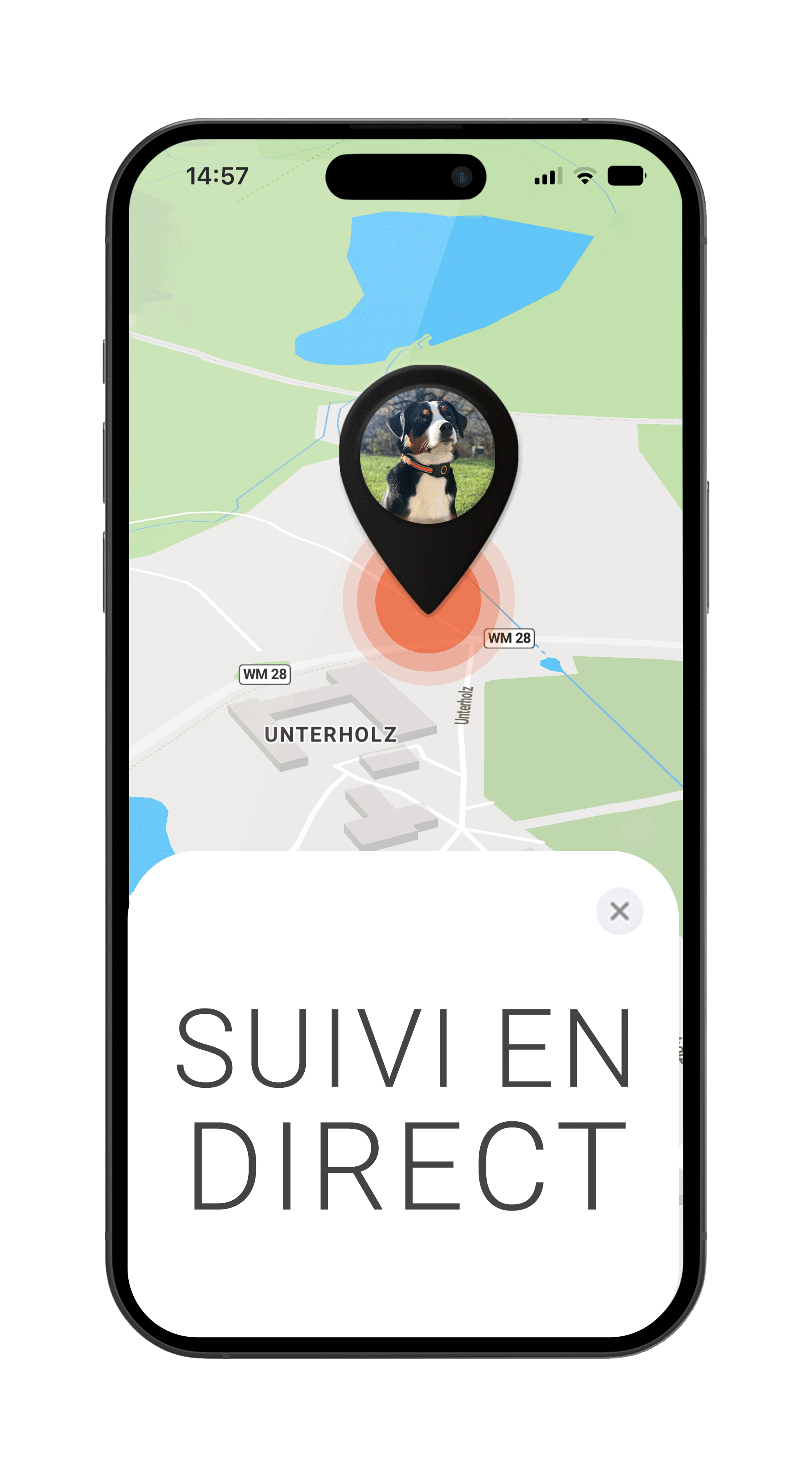 Mockup avec chien et suivi en direct