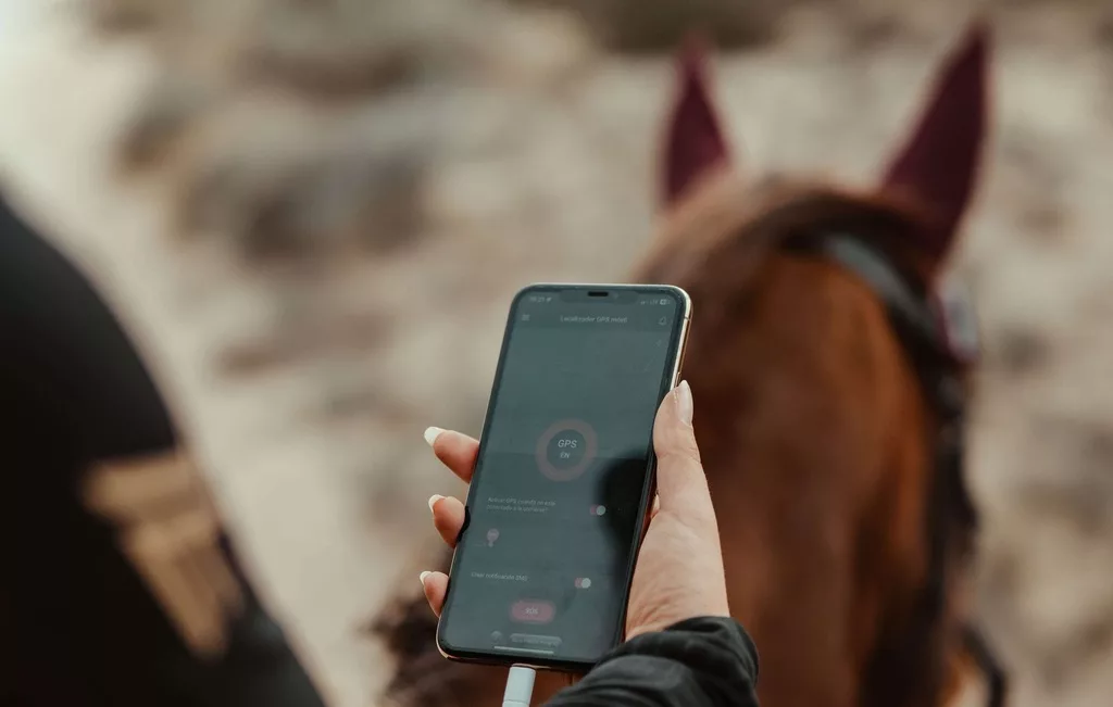 Main de femme sur un cheval utilisent application mobile GPS tracker