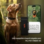 Traceur gps chien sur collier