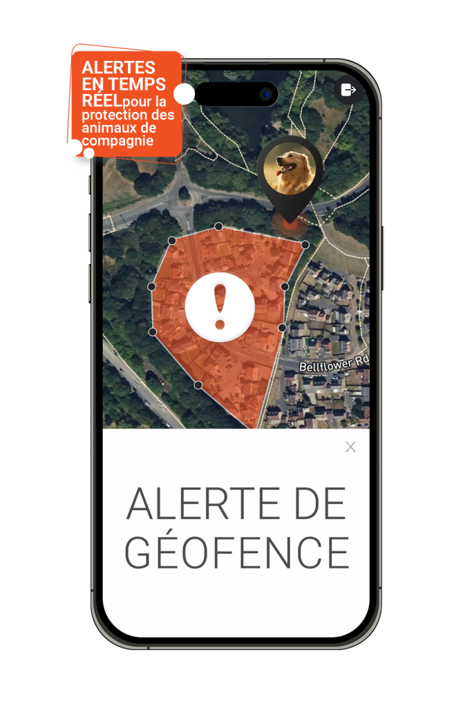 Alerte de géofence - Protection en temps réel