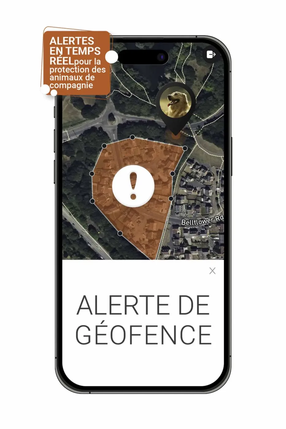 Alerte de géofence - Protection en temps réel avec le traceur GPS pour chien de PAJ GPS