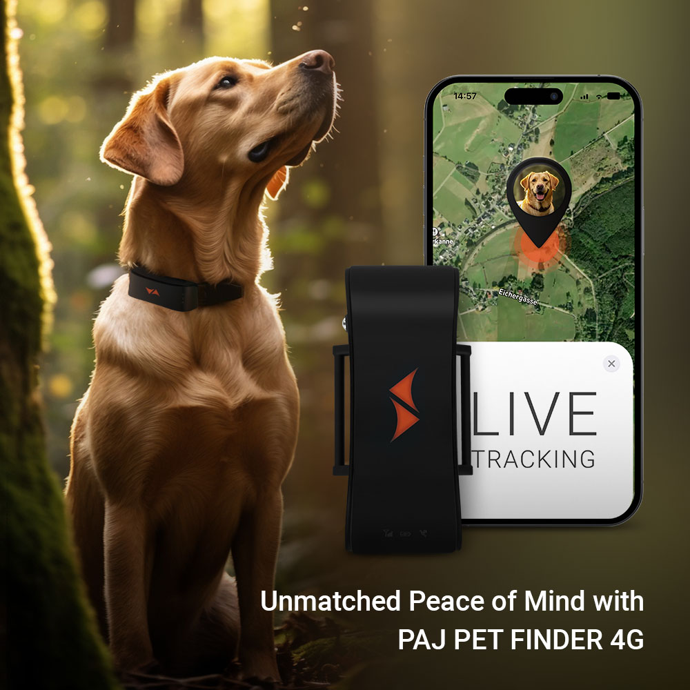 PAJ Traceur GPS pour chiens - PET Finder 4G Noir - Léger et étanche pour tout collier. Localisation en direct et alertes de fuite