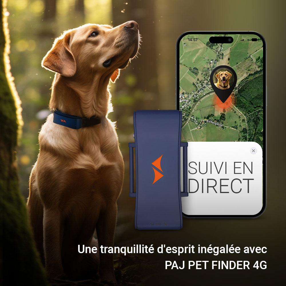 PAJ Traceur GPS pour chiens - PET Finder 4G Bleu - Léger et étanche pour tout collier. Localisation en direct et alertes de fuite