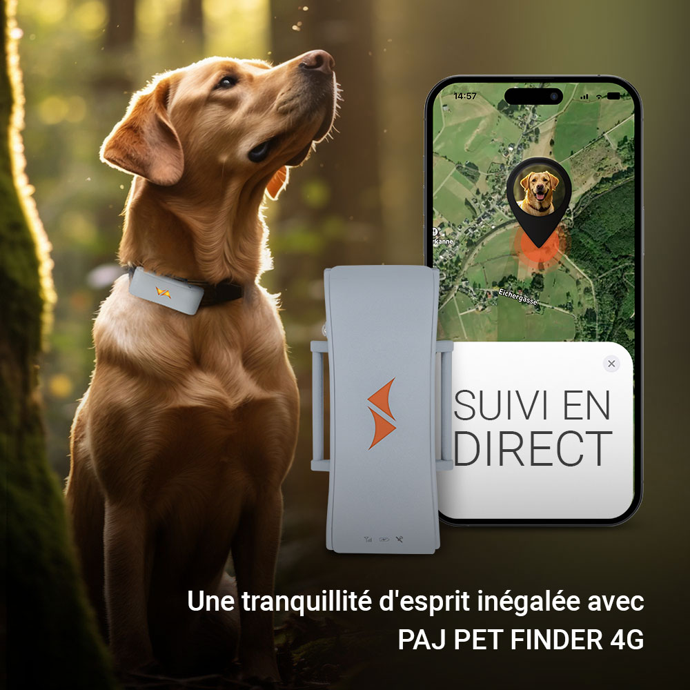 PAJ Traceur GPS pour chiens - PET Finder 4G Gris - Léger et étanche pour tout collier. Localisation en direct et alertes de fuite