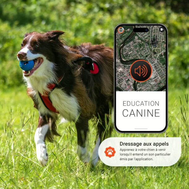 Smart BT Anti-Lost Tracker Portable Mini Locator A... - Grandado