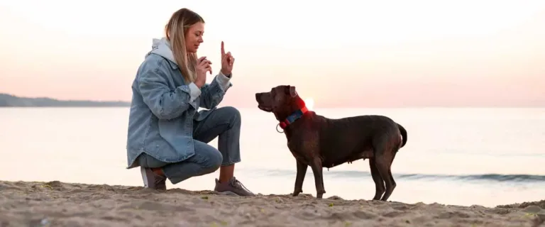 Une femme accroupie devant son chien a la plage