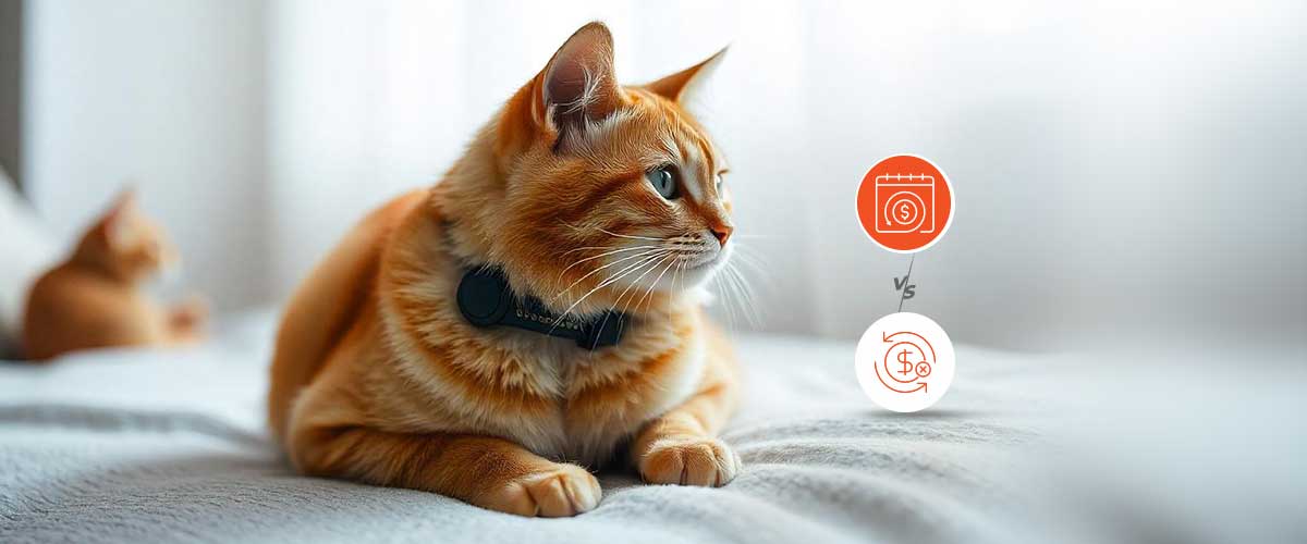 Collier GPS chat sans abonnement ou avec Que Choisir ? PAJ GPS France