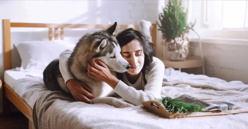 Laissez-vous aussi assister par un traceur GPS pour chiens.