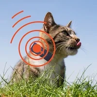 Image d un traceur GPS pour chat qui donne la position.