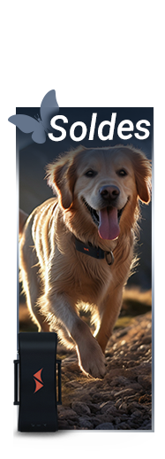 vente sur traceurs gps pour chiens PAJ GPS