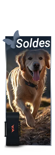vente sur traceurs gps pour chiens PAJ GPS