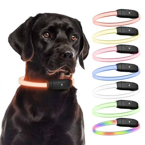 PAJ LIGHT noir: PAJ GPS LED collier pour chiens