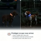 Caracteristiques PAJ LIGHT noir: PAJ GPS LED collier pour chiens