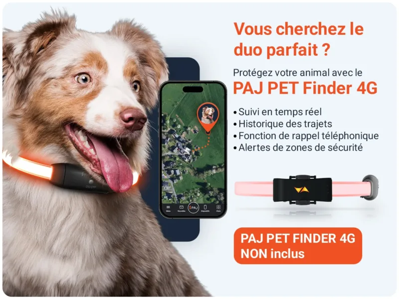 Combinaison PET Finder PAJ LIGHT noir: PAJ GPS LED collier pour chiens