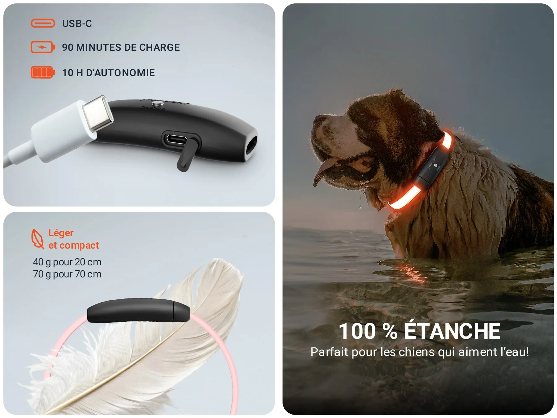 Donnees technique PAJ LIGHT noir: PAJ GPS LED collier pour chiens