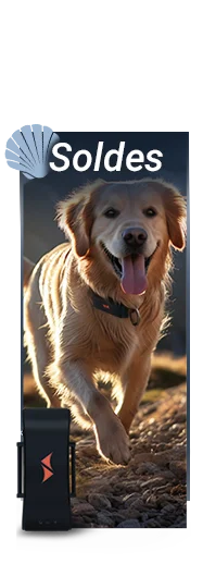 rabais sur traceurs gps pour chiens PAJ GPS