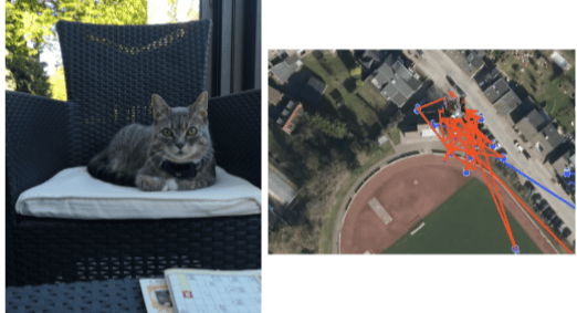 Un traceur GPS chat de PAJ porte au cou d'un chat assis sur une table.