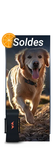 rabais sur traceurs gps pour chiens PAJ GPS
