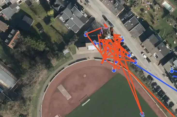 Les traces d'un chat se promenent avec un traceur GPS pour chat de PAJ GPS. historique de ses itineraires est en rouge.