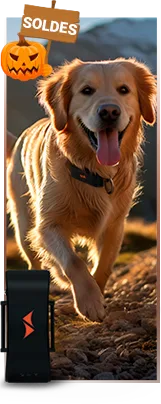 Rabais sur traceurs gps pour chiens PAJ GPS