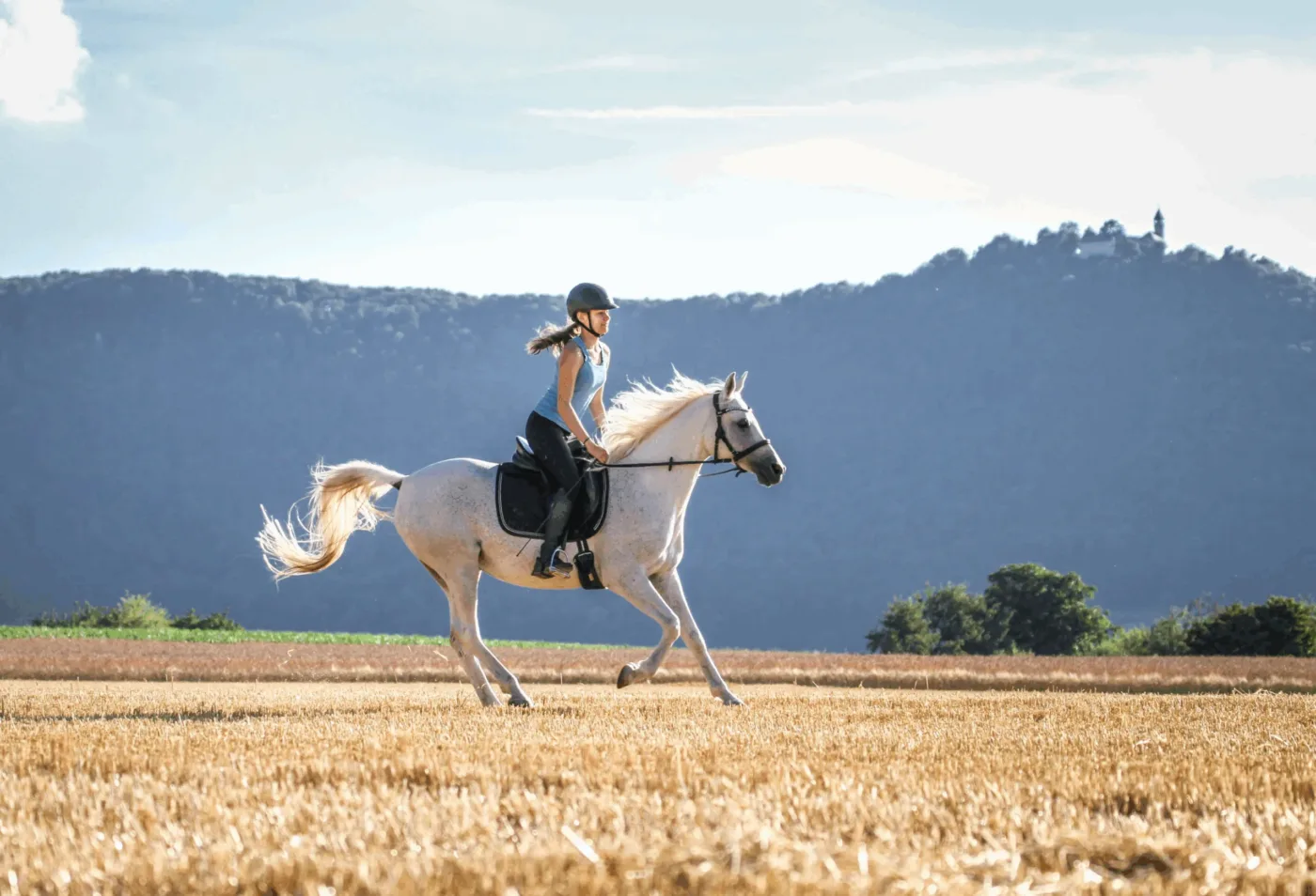 PAJ stories People finder