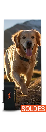 Rabais sur traceurs gps pour chiens PAJ GPS