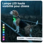 Gallery Images_PAJ Light Mini - FR - KB - 05 March 2026 - 2. 8 Modes