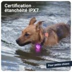 Gallery Images_PAJ Light Mini - FR - KB - 05 March 2026 - 3. IPX7