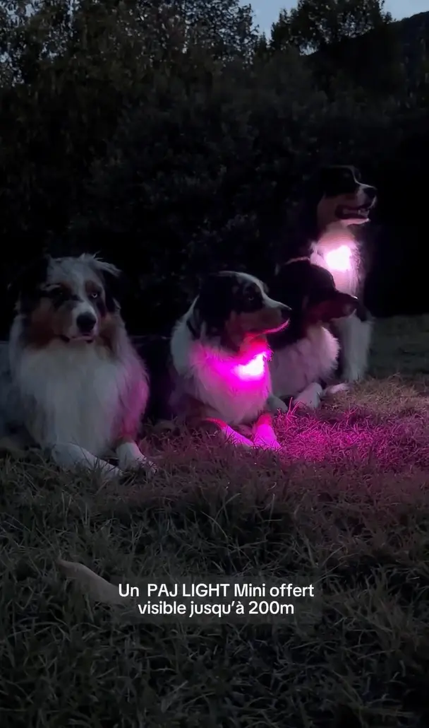 PET FINDER MINI FR @les4fantastiques.aussie