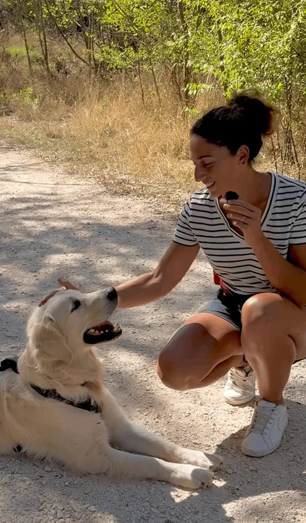 PET FINDER MINI FR @lesdecouvertesdemagalie