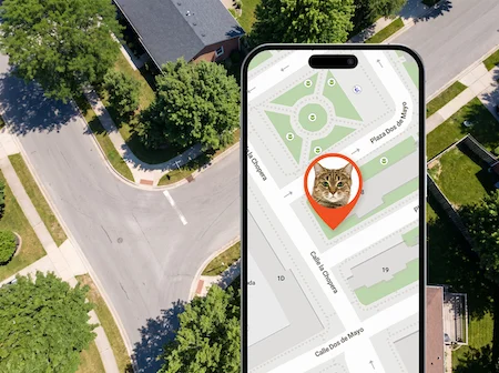 Position en direct du chat affichée dans l'application PAJ Finder Portal