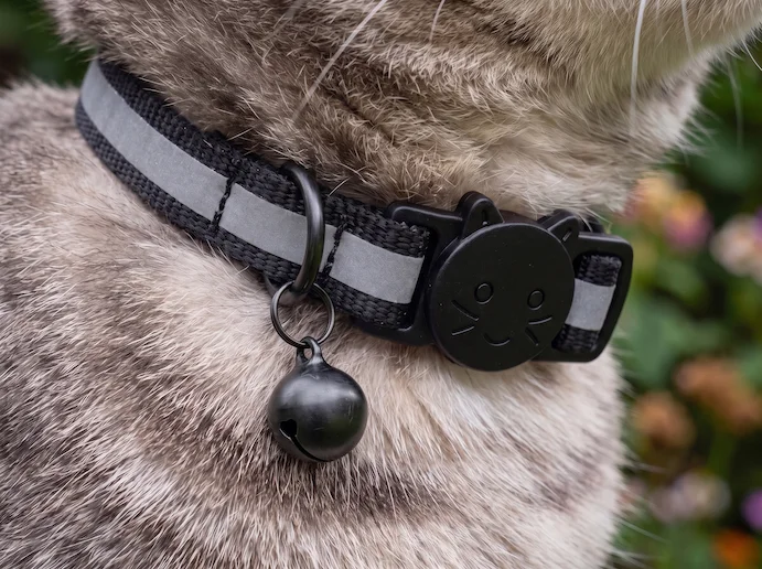 Gros plan du PAJ Pet Finder 4G Mini sur un chat
